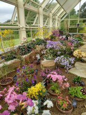 IMG_20180523_111216900_HDR