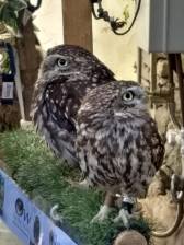 IMG_20180529_130619113_HDR